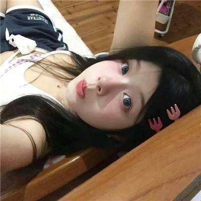 我可爱的宾杜